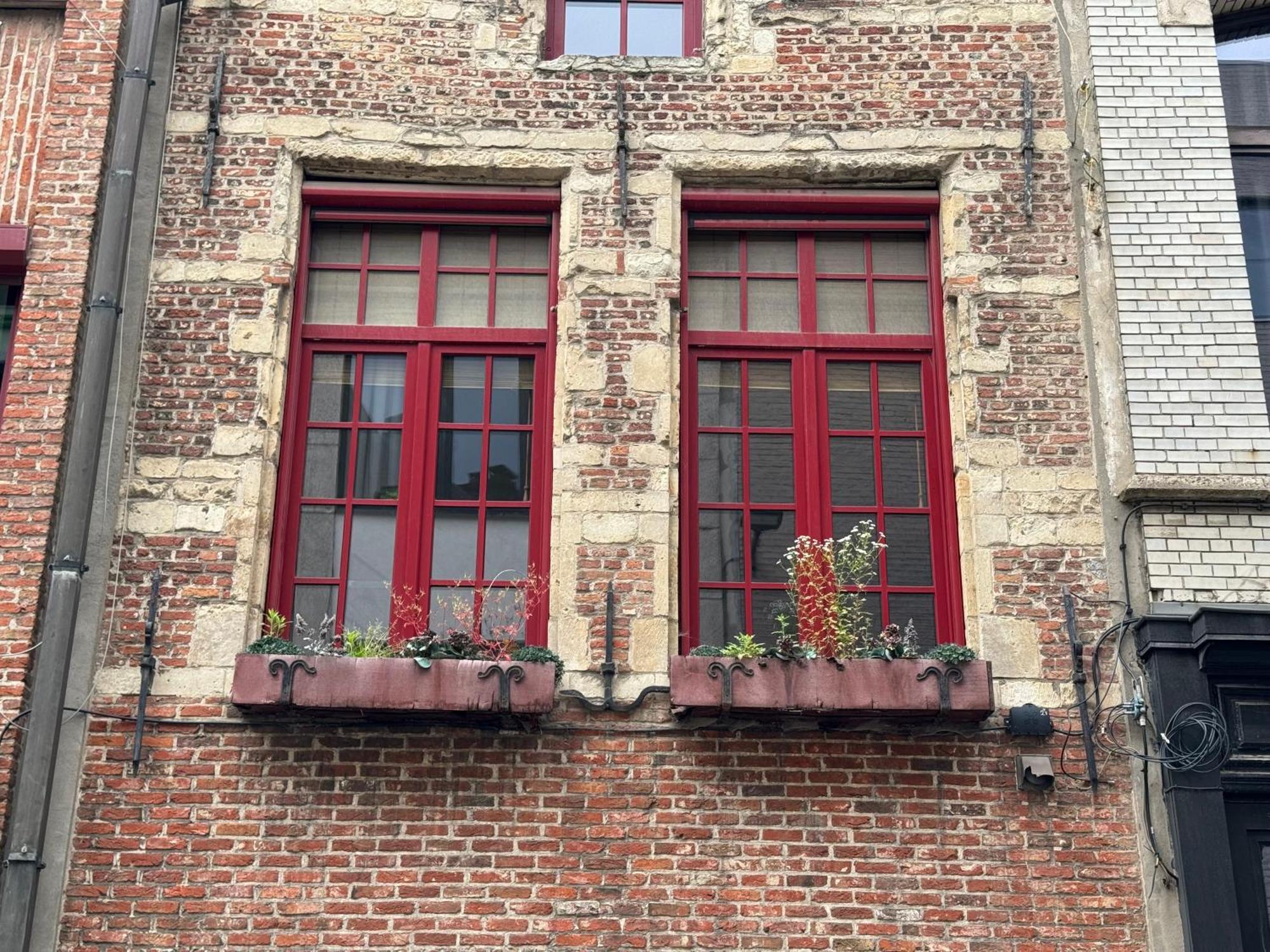 Garden Loft In City Center Meir 1Fl Антверпен Екстер'єр фото